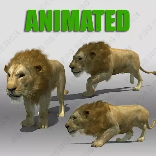 Lion Animated 3D model_0
