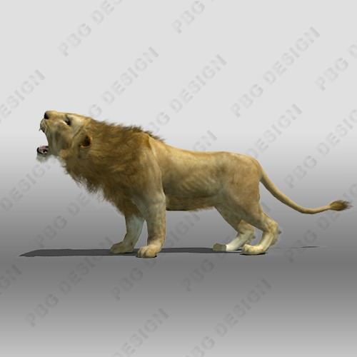 Lion Animated 3D model_5