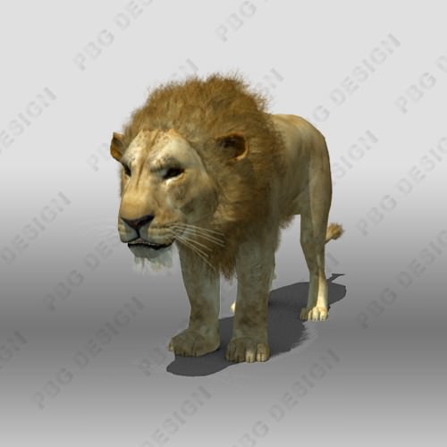 Lion Animated 3D model_2