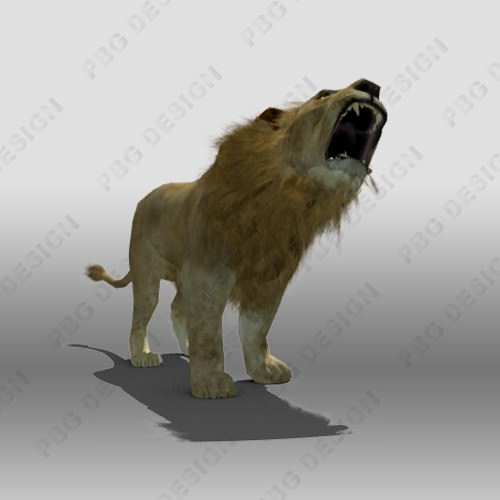 Lion Animated 3D model_4