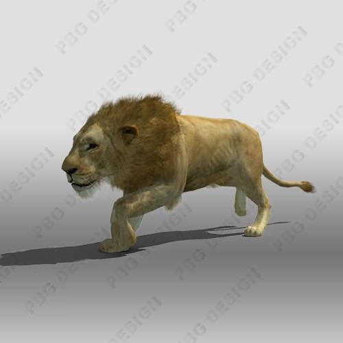 Lion Animated 3D model_1