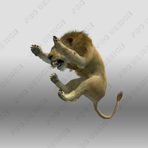 Lion Animated 3D model_7