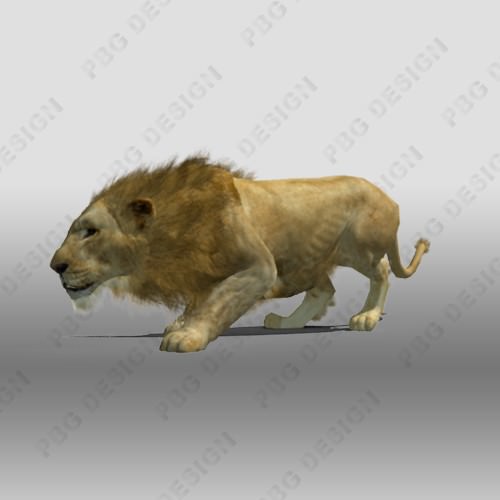 Lion Animated 3D model_3