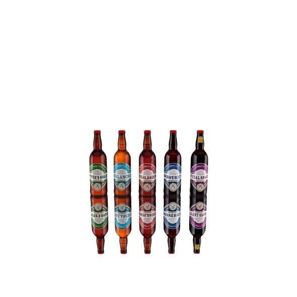 Bottles six of beer 3D model_2