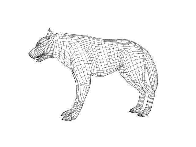 Detailed grey wolf Low-poly 3D model_7