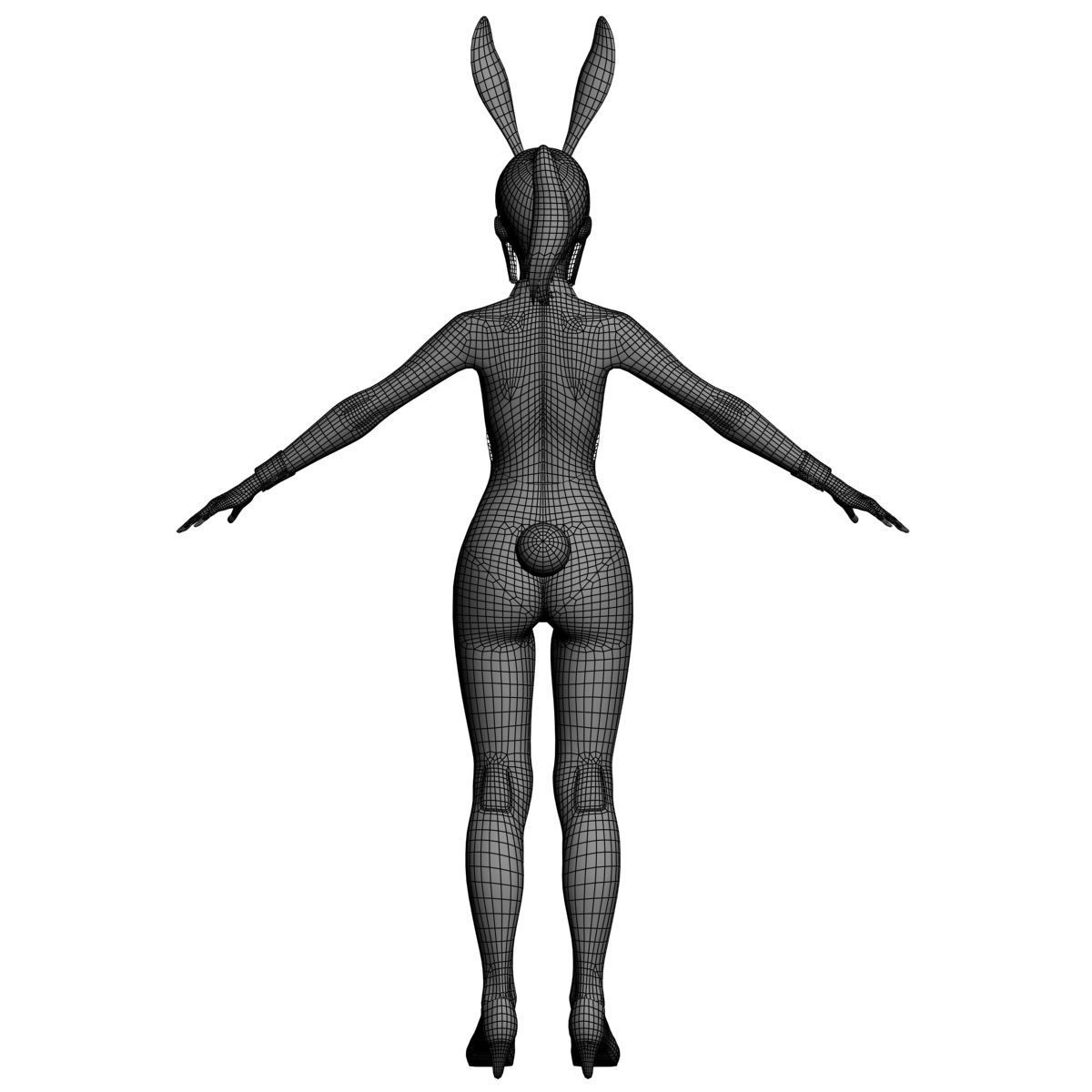 T pose rigged model of Natsumi in bunny outfit 3D model_15