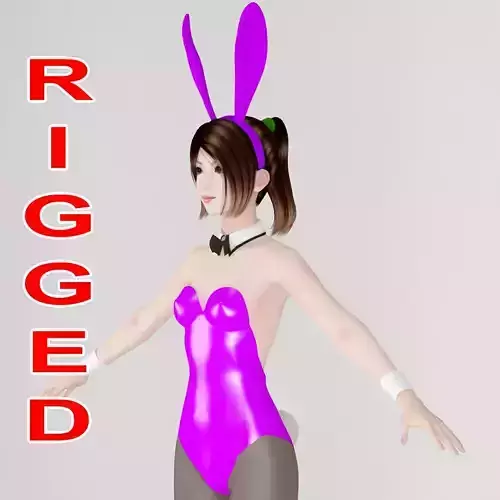 T pose rigged model of Natsumi in bunny outfit 3D model