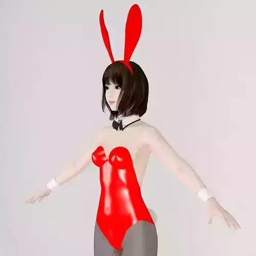  T pose nonrigged model of Mariko in bunny outfit 3D model