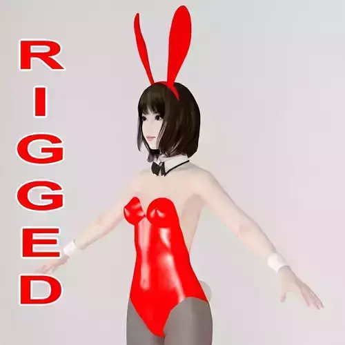 T pose rigged model of Mariko in bunny outfit  3D model