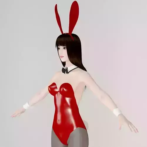  T pose nonrigged model of Akari in bunny outfit  3D model