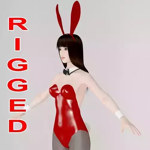 T pose rigged model of Akari in bunny outfit  3D model