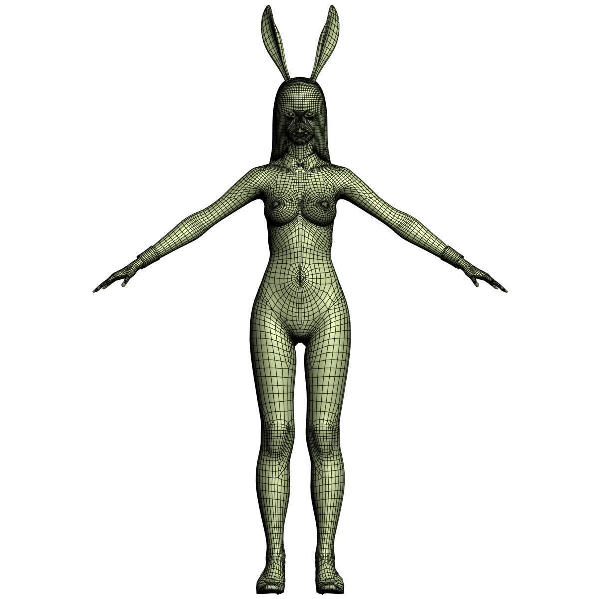 T pose rigged model of Akari in bunny outfit  3D model_14