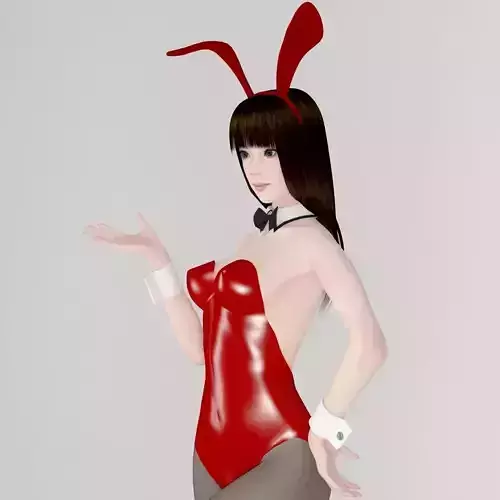 Akari bunny pose 01 3D model