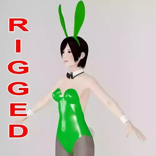 T pose rigged model of Rina in bunny outfit 3D model