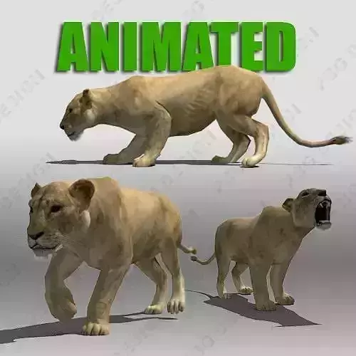 Lioness Animated Low-poly 3D model