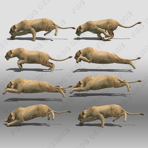 Lioness Animated Low-poly 3D model_6