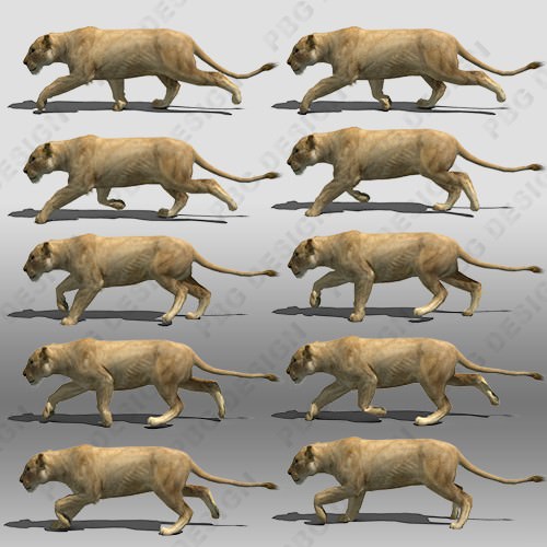 Lioness Animated Low-poly 3D model_7