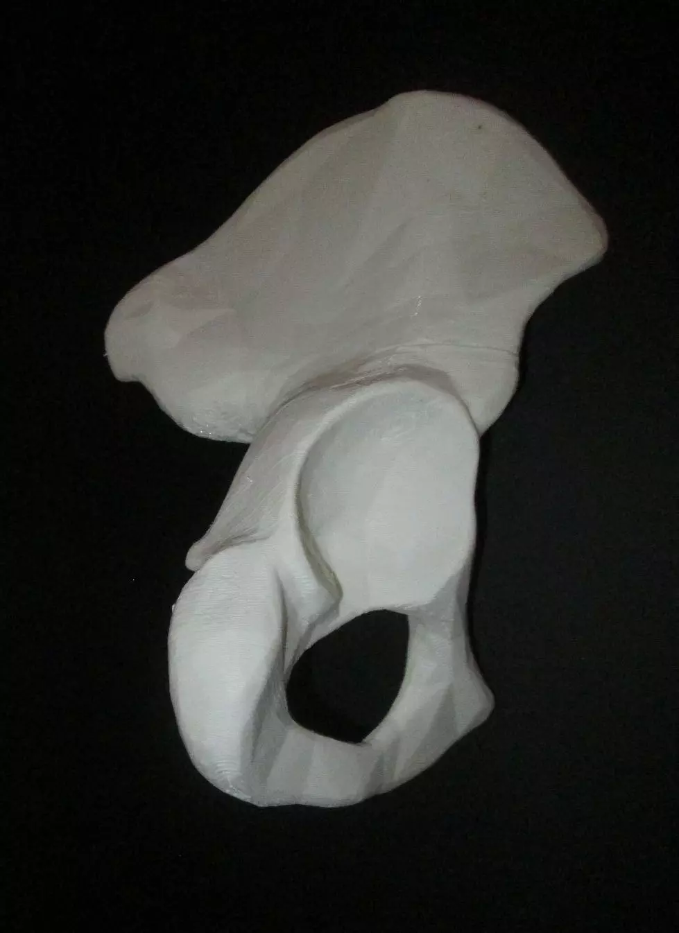 Human Hip Bone-Right two pieces 3D print model_0