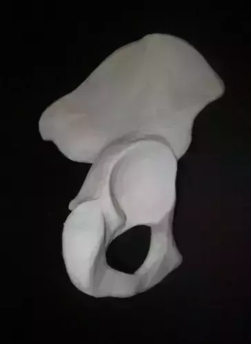 Human Hip Bone-Right two pieces 3D print model