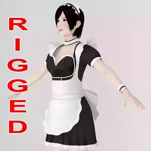T pose rigged model of Rina in maid outfit  3D model