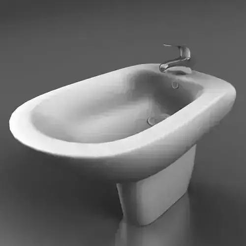 Bidet bathroom sink