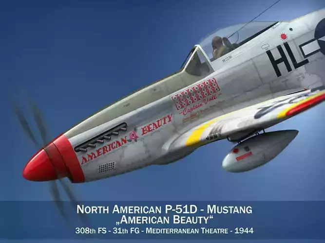 North American P-51D - American Beauty 