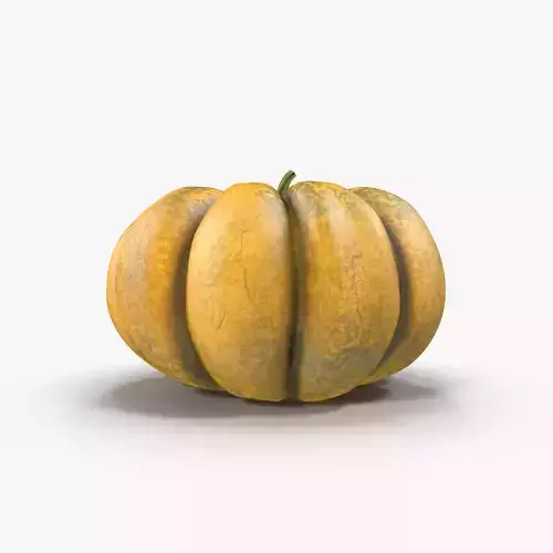 Pumpkin Free 3D model