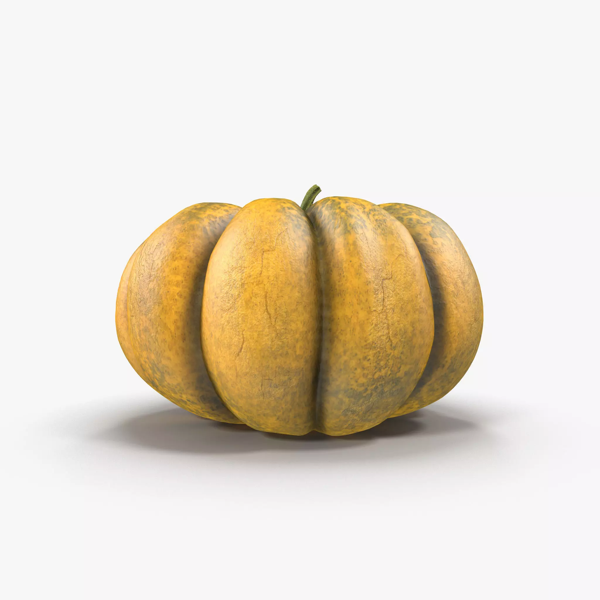 Pumpkin Free 3D model_0
