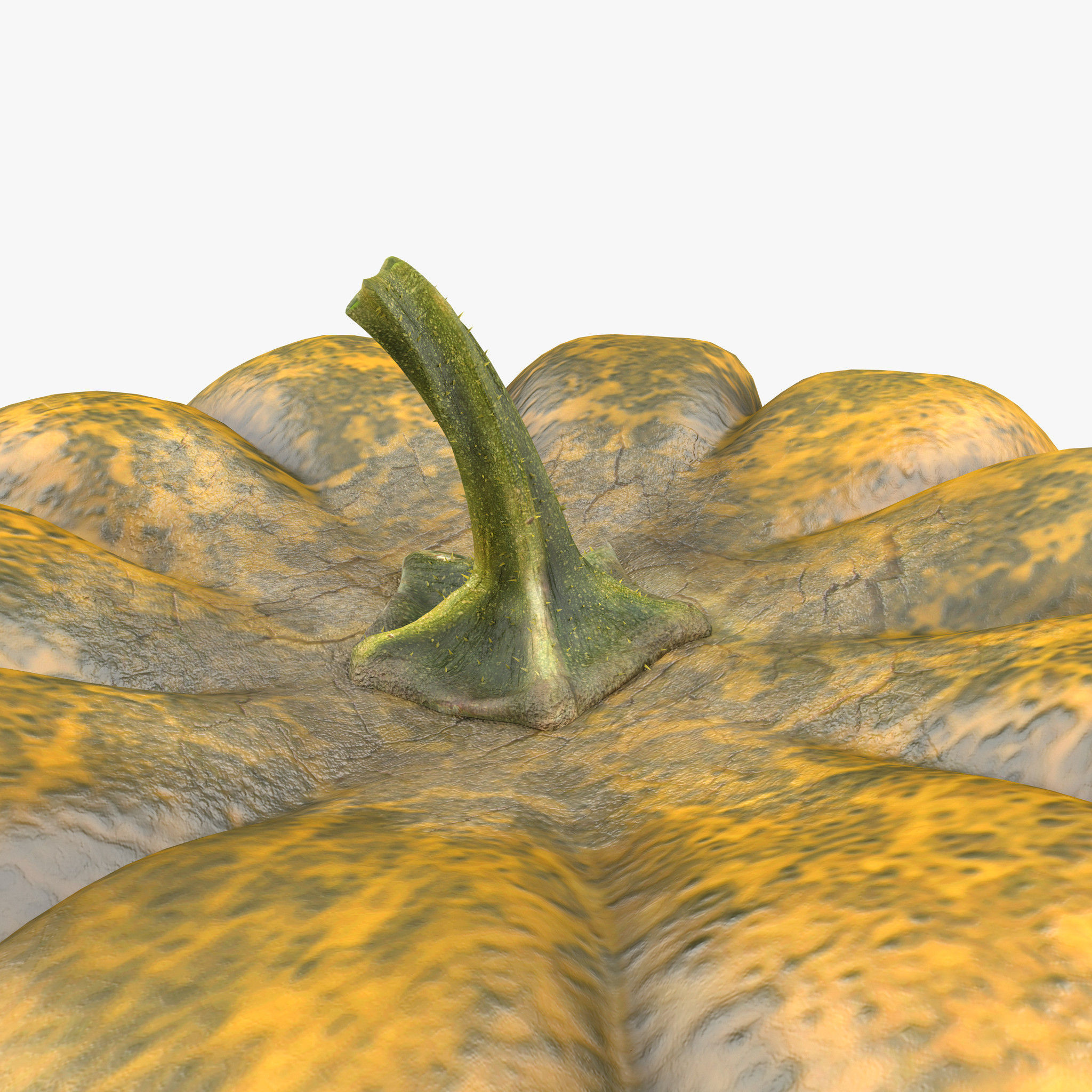 Pumpkin Free 3D model_7