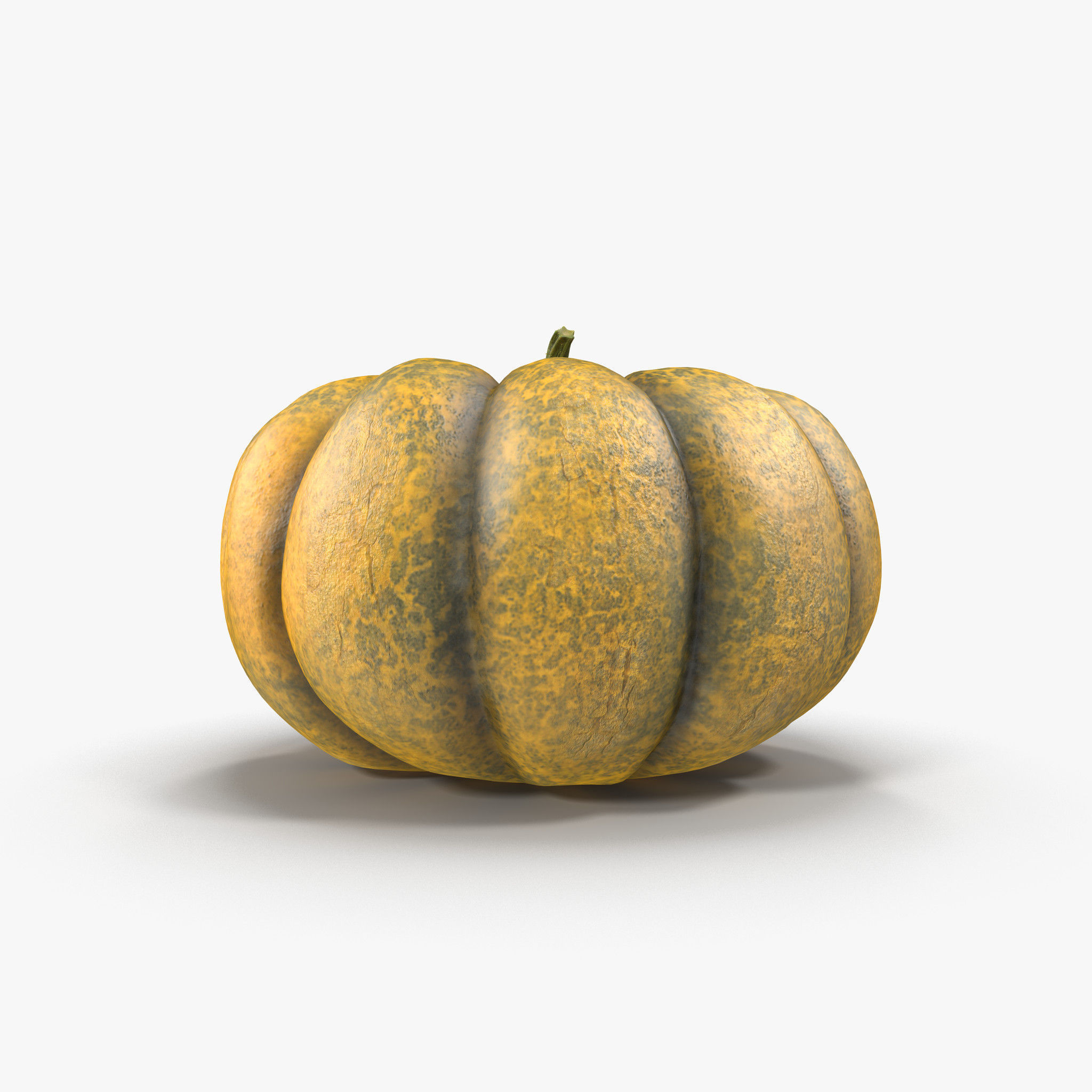 Pumpkin Free 3D model_6
