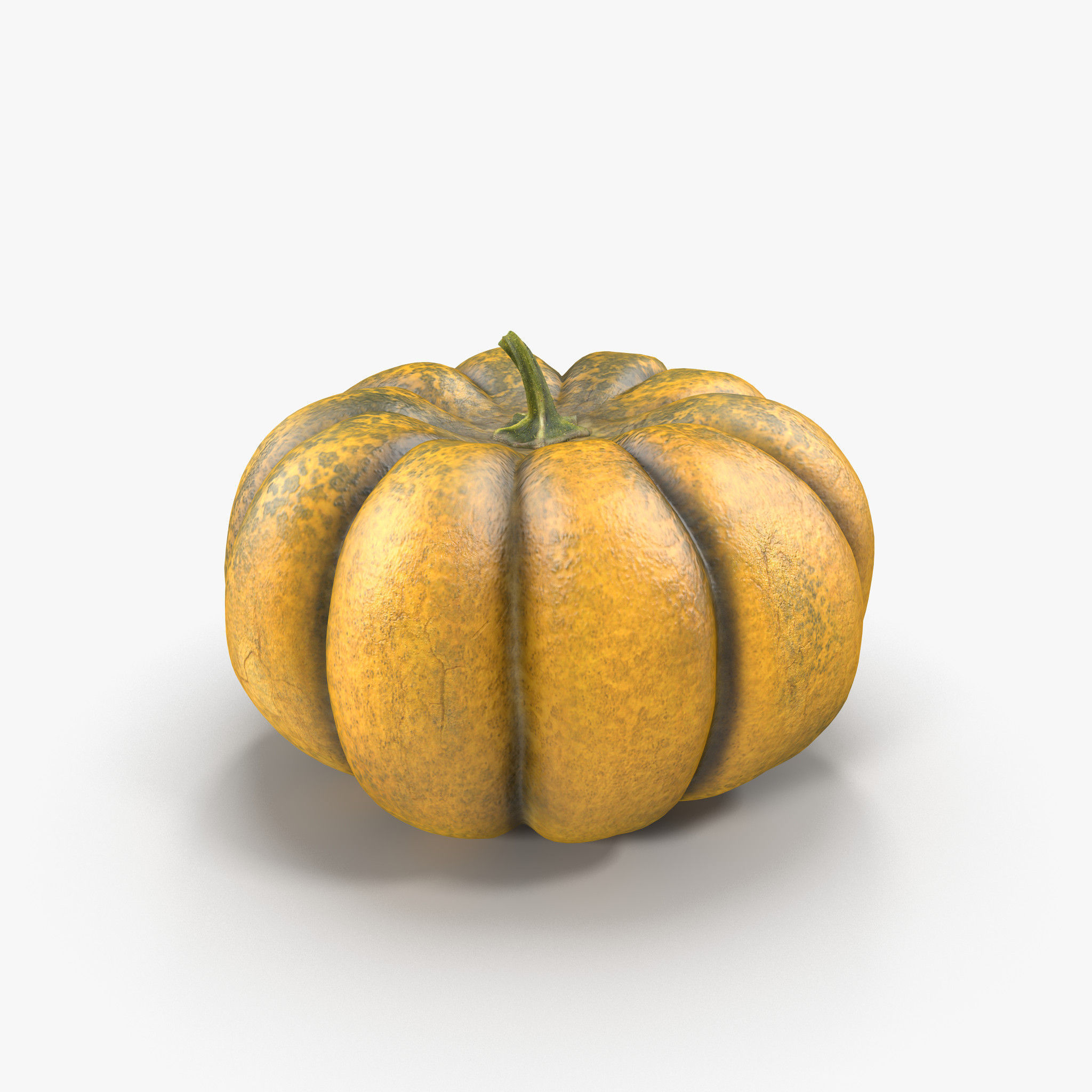 Pumpkin Free 3D model_3