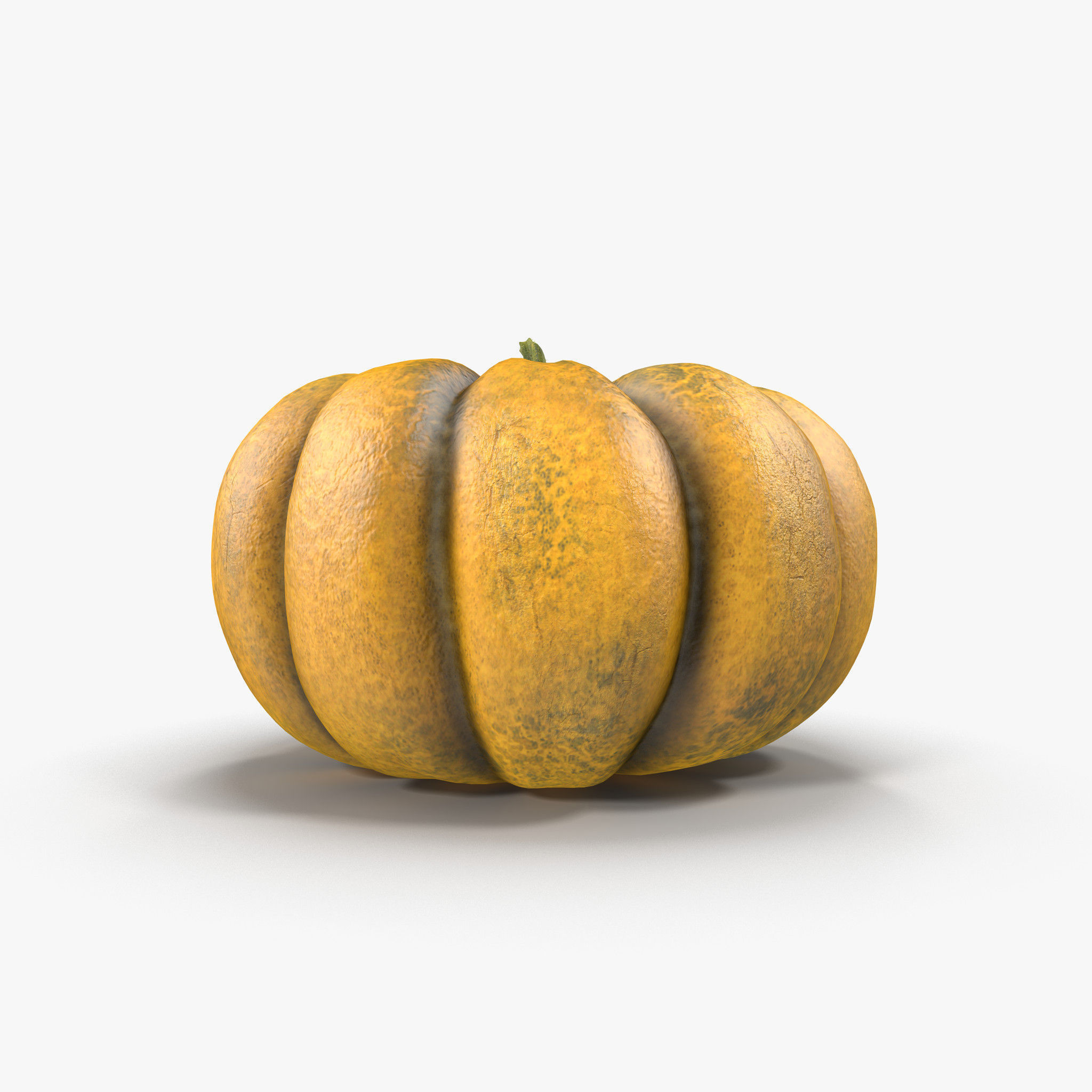 Pumpkin Free 3D model_1