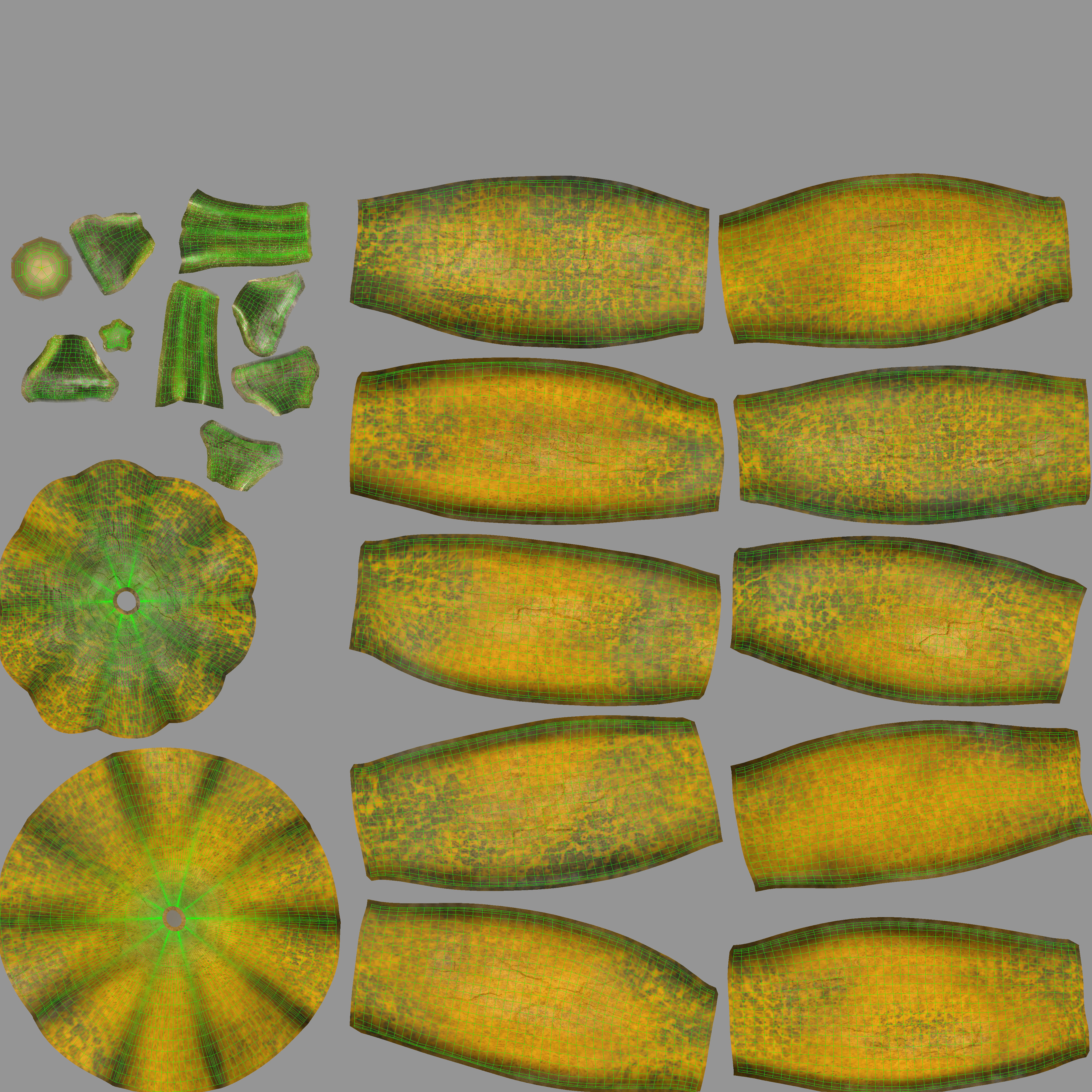 Pumpkin Free 3D model_11