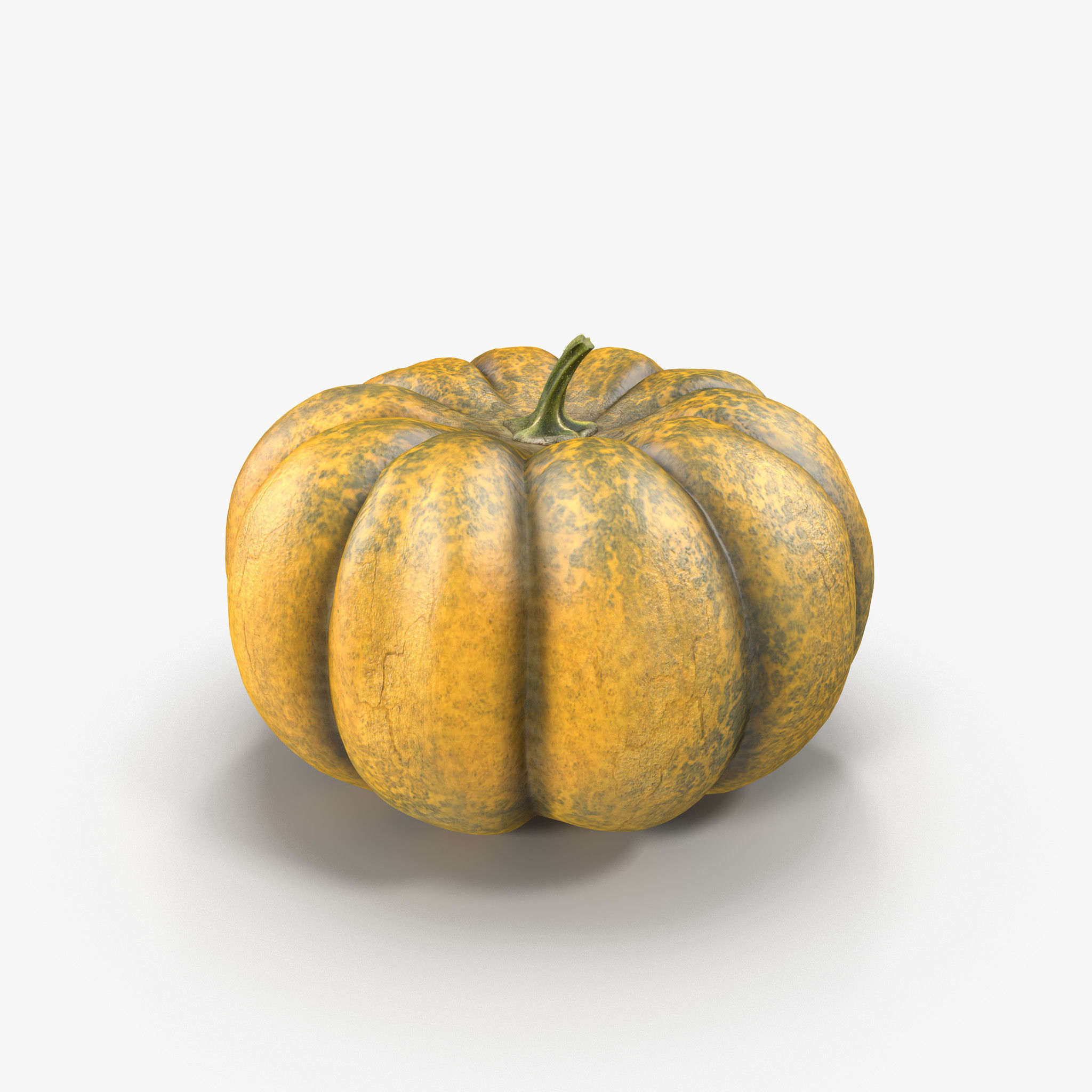 Pumpkin Free 3D model_2