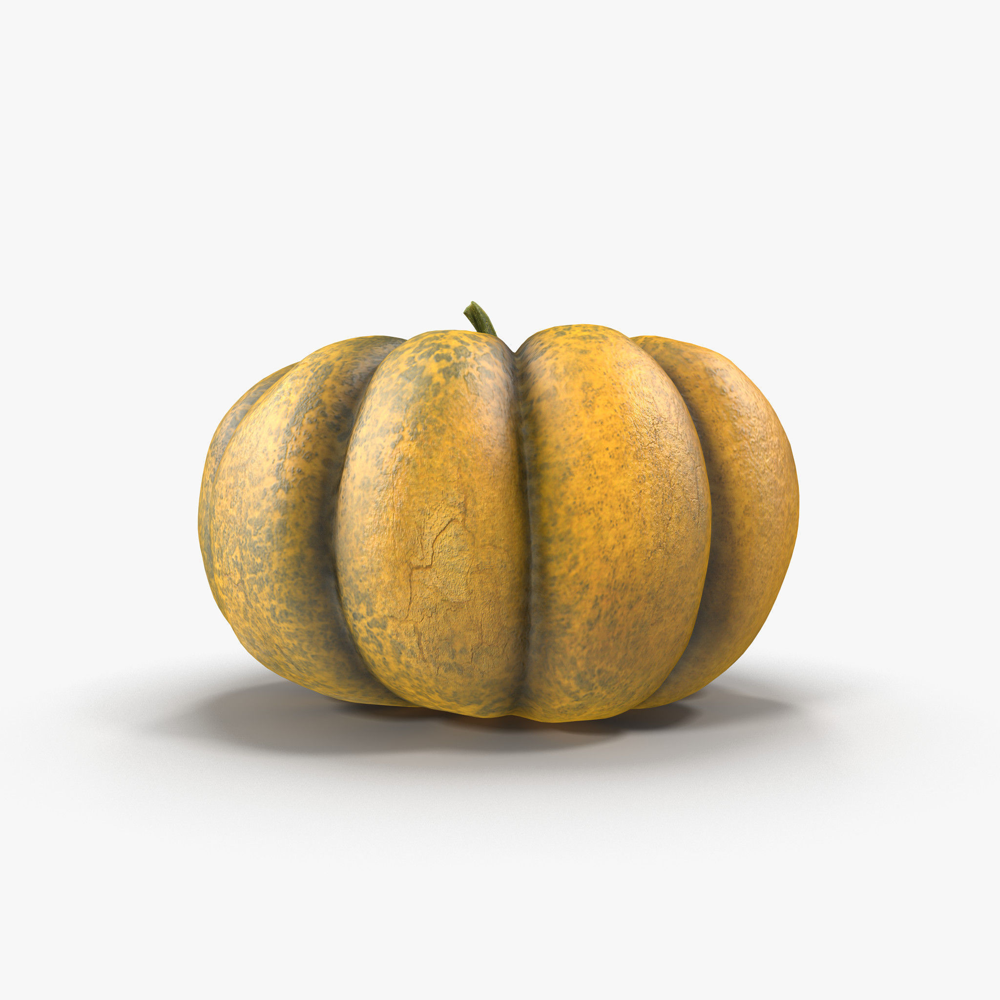 Pumpkin Free 3D model_4