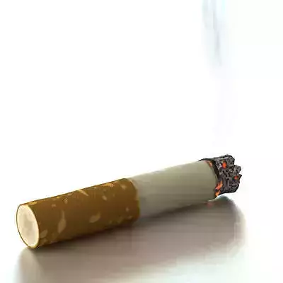 Cigarette Butt 3D model