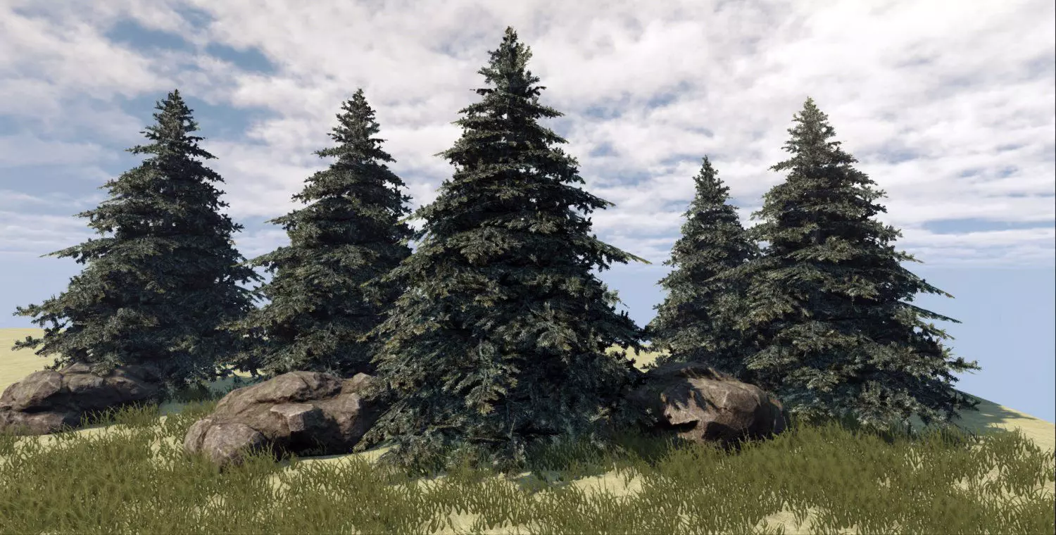 Fir Tree Low-poly 3D model_0