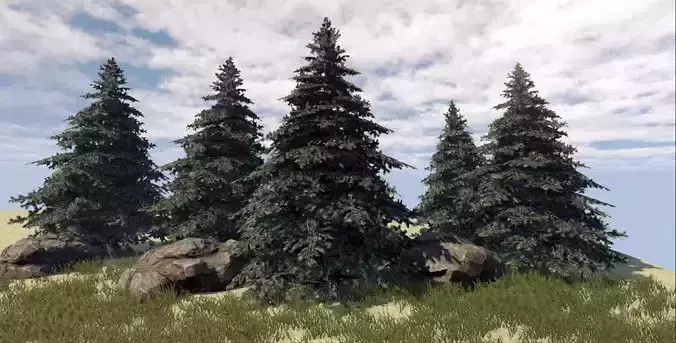 Fir Tree Low-poly 3D model