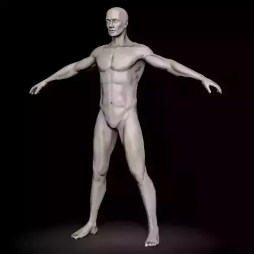 Man topology 3D model