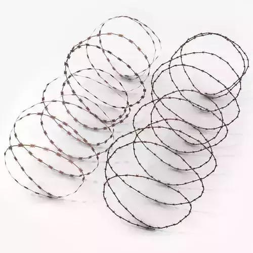 Barbed and razor wire 3D model