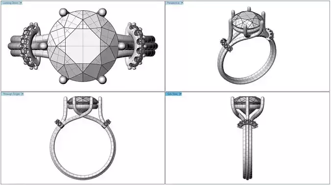 ring tender 3D print model
