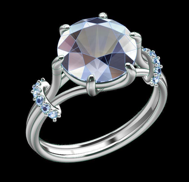 ring tender 3D print model_3