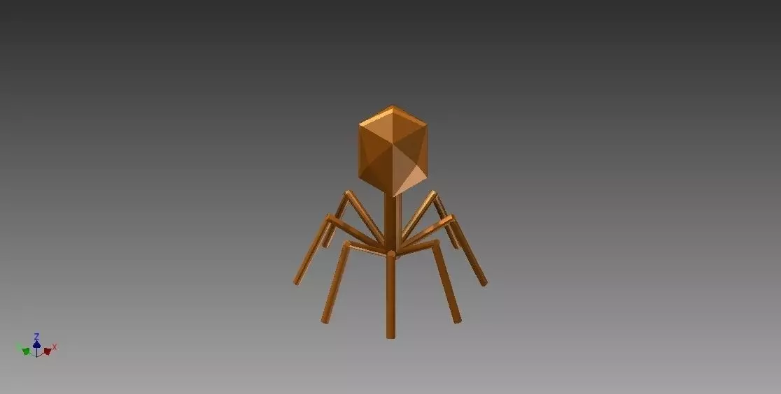 Bacteriophage Model spider Free 3D print model_0