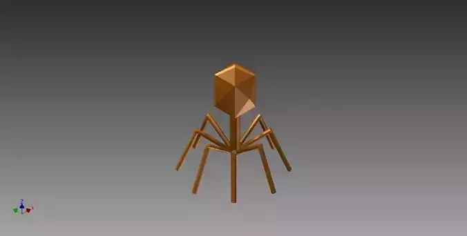 Bacteriophage Model spider Free 3D print model