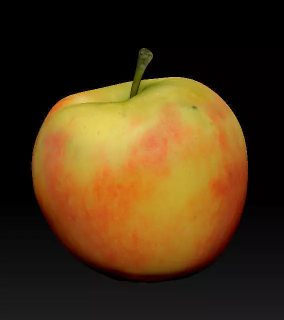 red apple 3D model_0