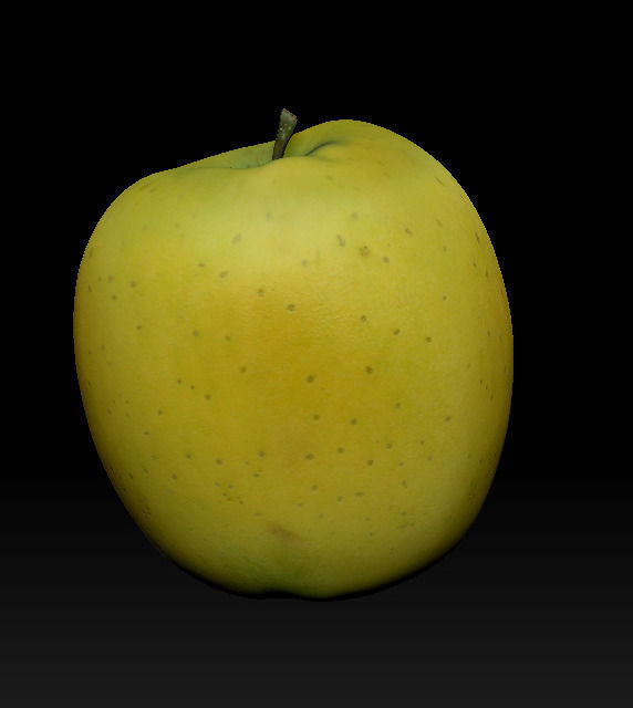 green apple 3D model_2