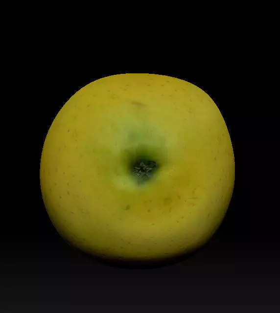 green apple 3D model_0