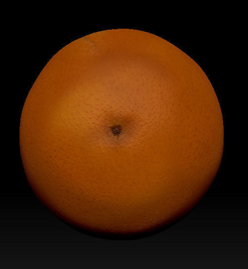 orange Low-poly 3D model_4