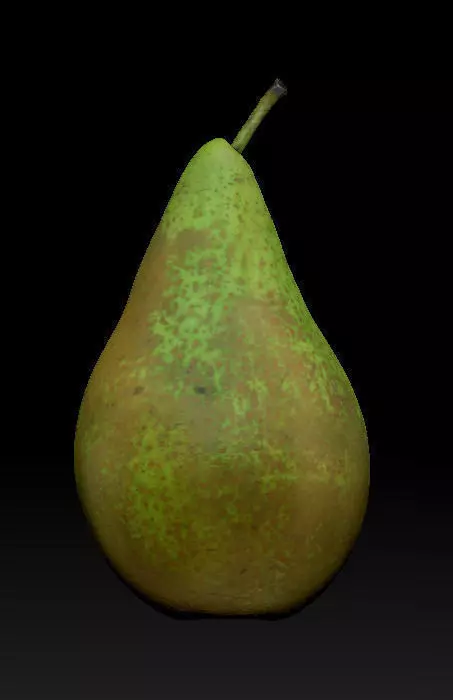 fresh pear Low-poly 3D model_0