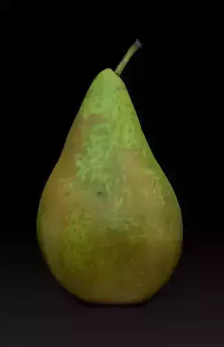 fresh pear